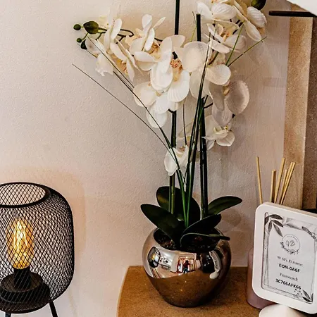 Villa Bradat By Guide Vela Luka